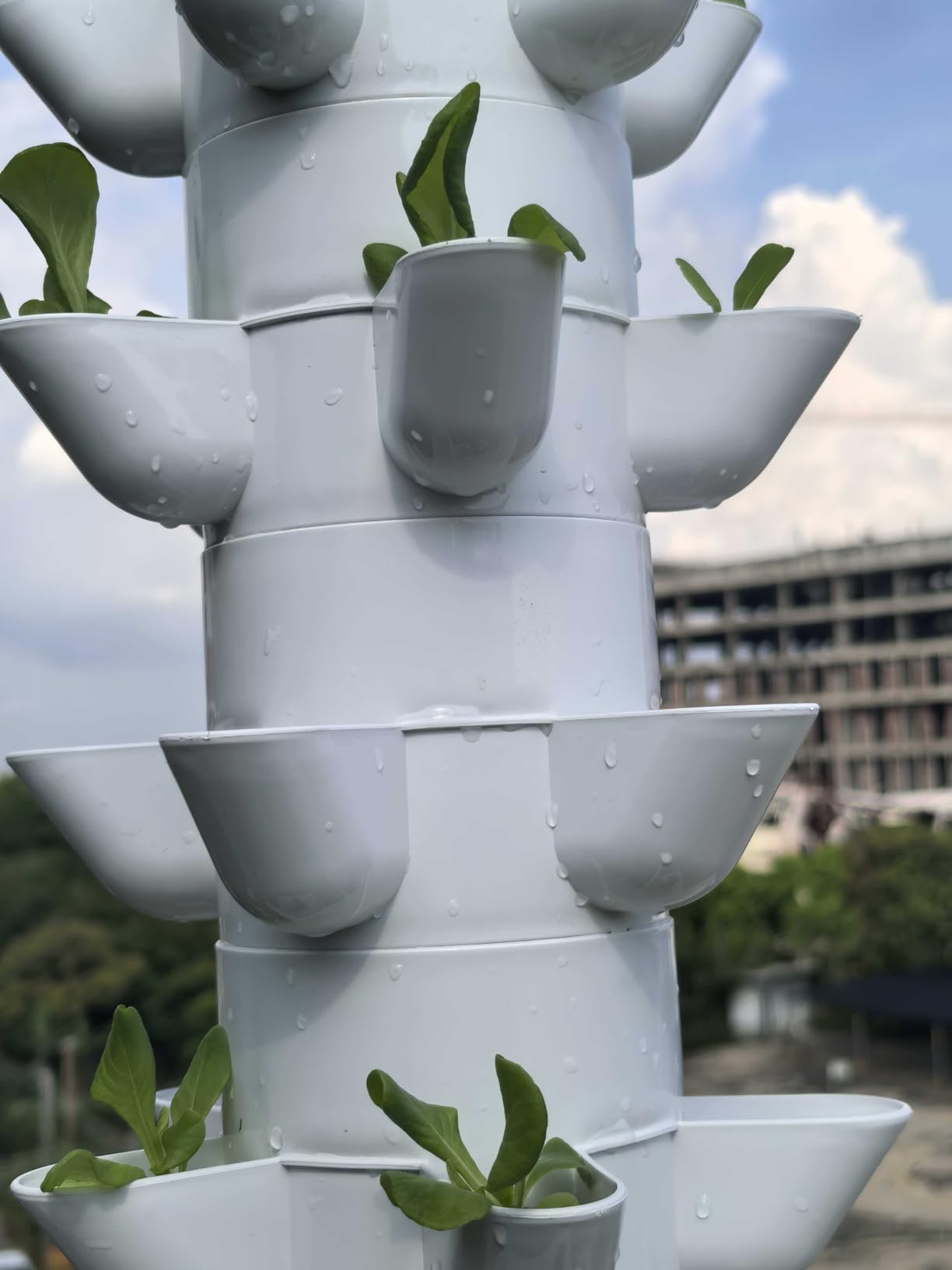 Hydroponics Growing System, 30-Plant Indoor Hydroponic Tower with Timer and Pump System, Plants Germination Kit, Vertical Hydroponic System for Gardening Lover (No Seed) customer photo 2