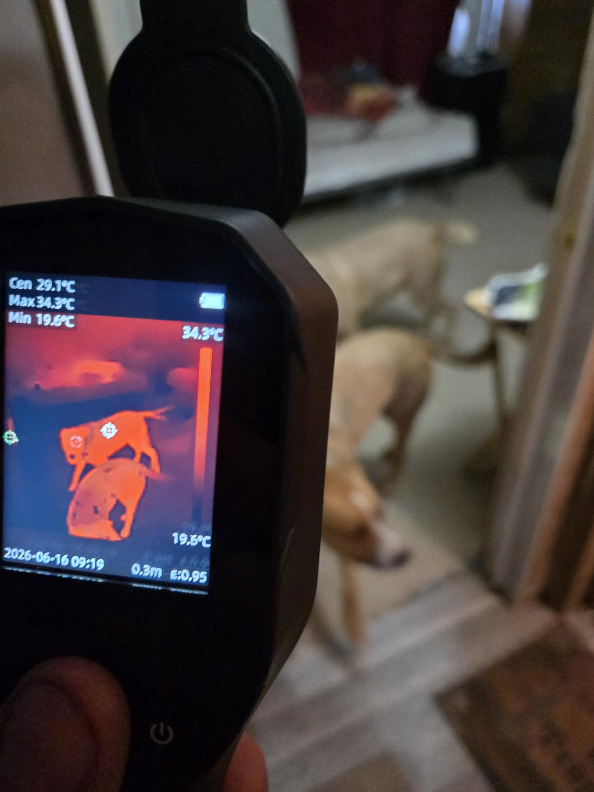 Thermal Camera, 240 x 240 TISR Resolution, -4°F to 1022°F Temp Range, 25Hz Infrared Camera with Temperature Alarm, 50°FOV Handheld Thermal Imaging Camera customer photo 2