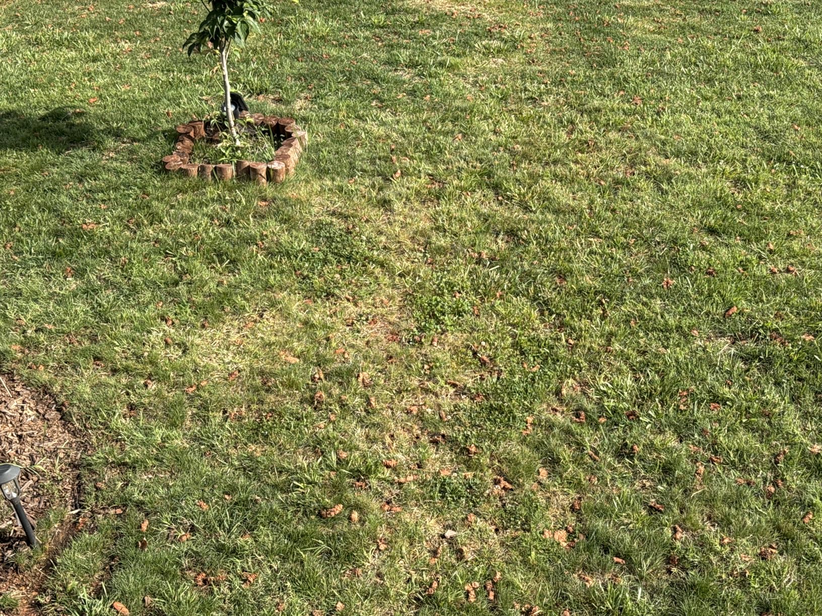Manual Core Aerator Lawn Tool - Lawn Aerator Tool with 3 Hollow Tines, Semi-Assembled Grass Aerator Core Aeration Tool for Lawn, Yard Plug Aerator for Lawn Care Compacted Soil - Orange customer photo 1