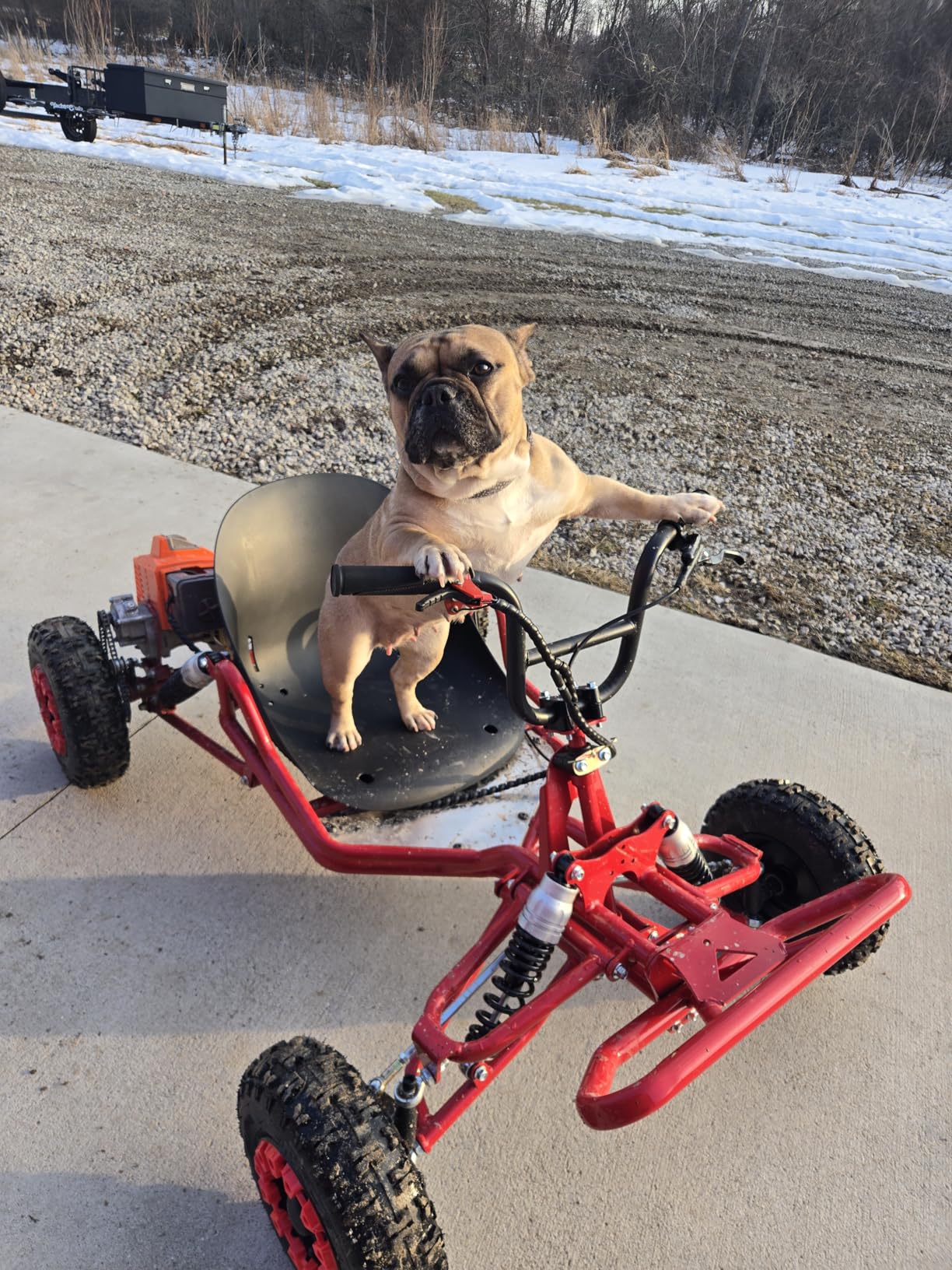 Zyliathor 212cc Gas Powered Go Kart for Teens & Adults, Off-Road Trail Kart with CVT Automatic, 420 Chain RWD, Up to 35 MPH, 4-Wheel Suspension, Rear Hydraulic Brake, AT145/70-6 Tire (Black, 212cc) customer photo 1