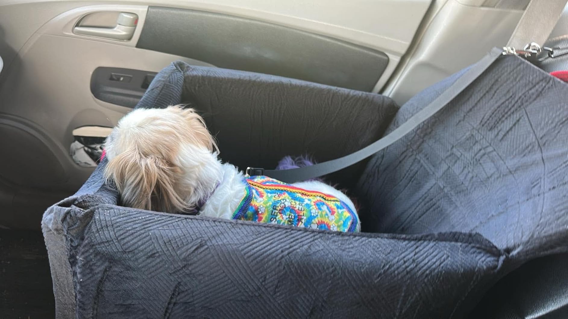 JOEJOY Dog Car Seats for Small Medium Dogs Under 35lbs, Dog Booster Seat with Detachable Washable Cover and Cushion, Memory Foam Pet Car Seat with Safety Belt and Storage Pockets (Black) customer photo 1