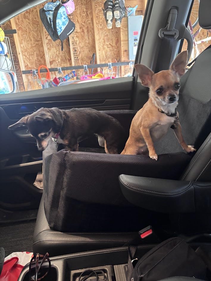 JOEJOY Dog Car Seats for Small Medium Dogs Under 35lbs, Dog Booster Seat with Detachable Washable Cover and Cushion, Memory Foam Pet Car Seat with Safety Belt and Storage Pockets (Black) customer photo 2