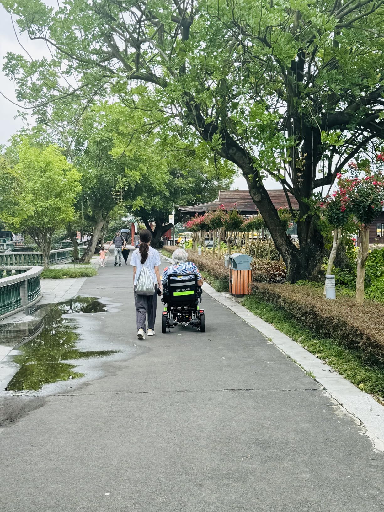 Rubicon DX14 - Longest Range 30 Miles, Airline Approved Electric Wheelchair, Dual 12AH Lithium Batteries, 2x300W Motors, Leather Cushion, Foldable, Lightweight & Powerful (Model20) customer photo 1