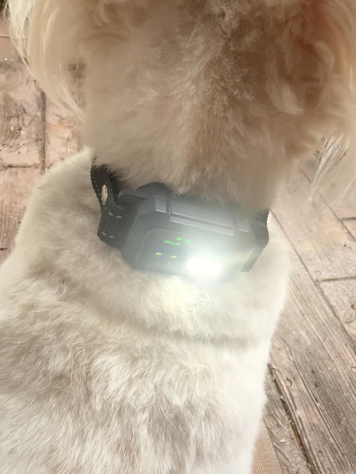 BLACKDOG Military Dog Shock Collar - 4200ft Dog Training Collar with Remote, 4 Training Modes, Flashlight & Strobe, 3-Month Battery, IP67 Waterproof Dog E Collar for All Breeds 5-150lbs (Dark Blue) customer photo 2