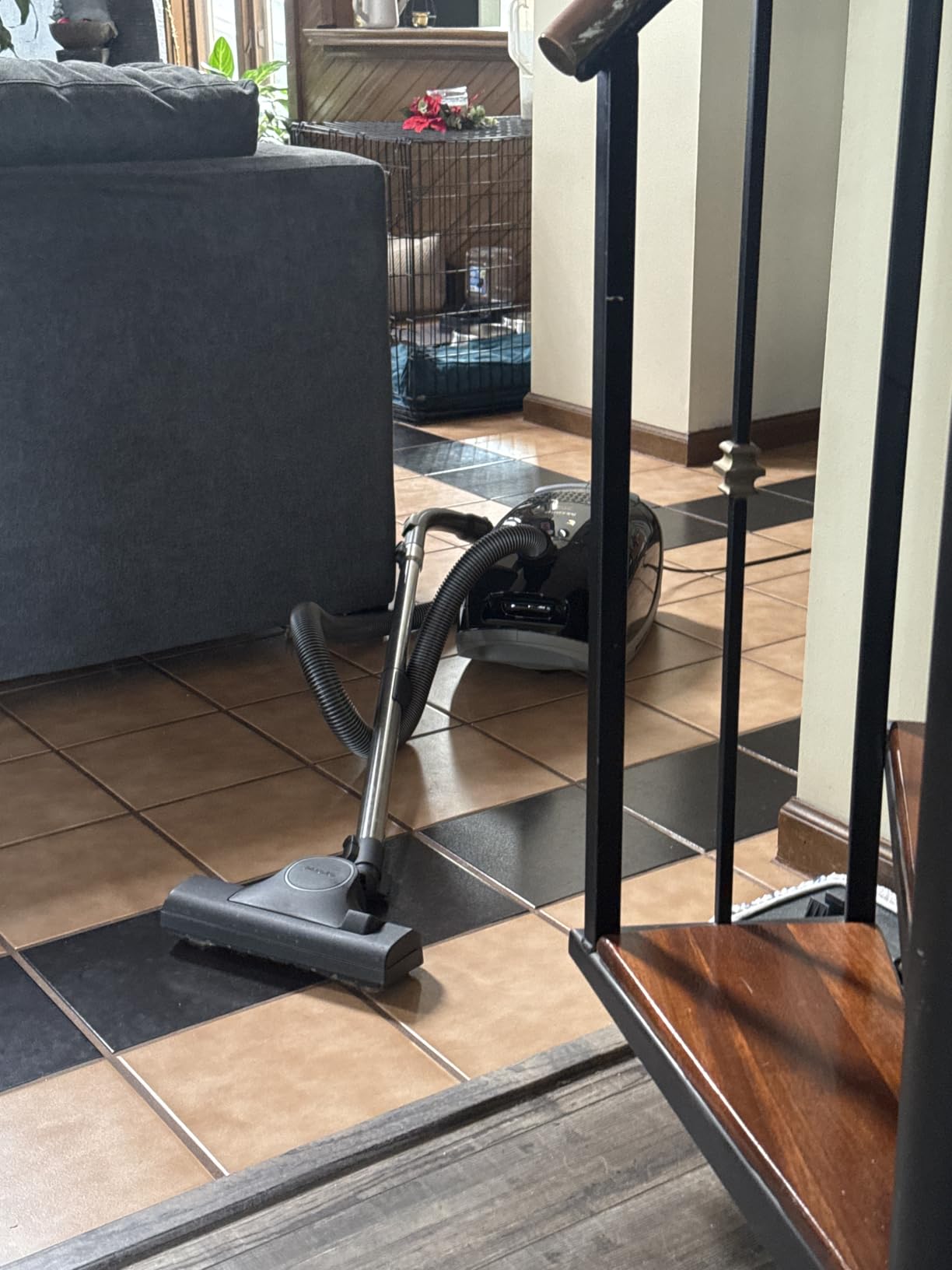 Miele Guard M1 Cat & Dog Bagged Canister Vacuum for Pet Owners, Obsidian Black/Space Grey customer photo 1