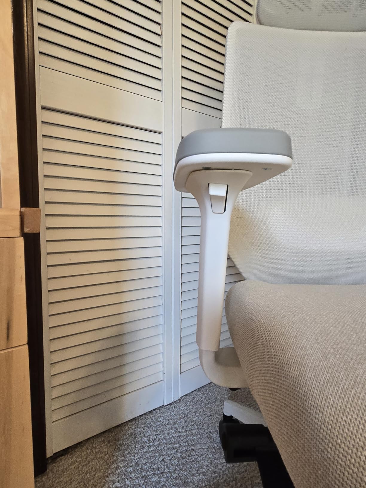 Branch Ergonomic Chair Pro - Mesh Office Chair with 14 Points of Adjustment 5D Armrests Forward Tilt customer photo 2
