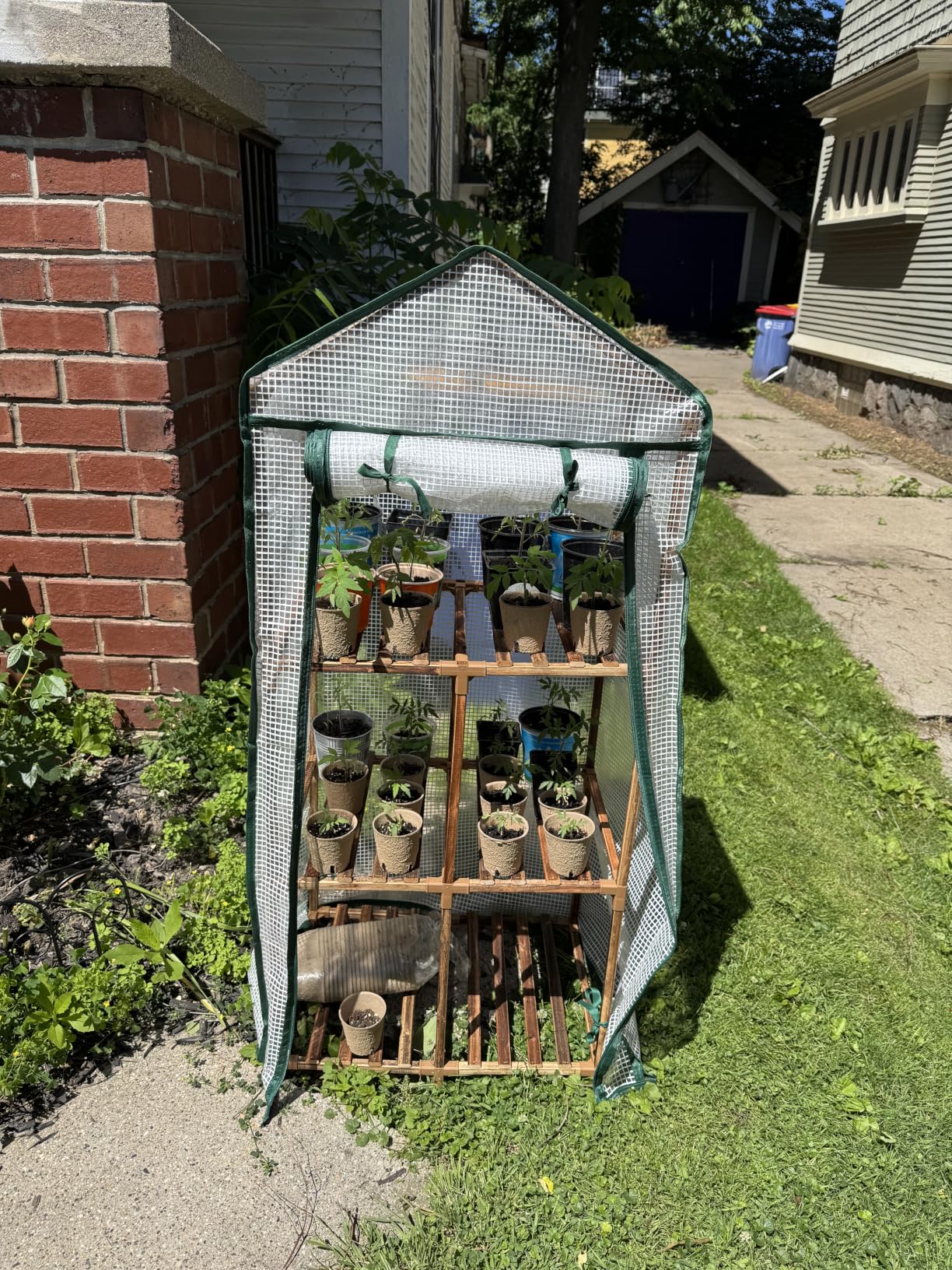 Bamworld Greenhouse for Outdoors Small Plant Green House 3-Tier Rack Stand Portable Greenhouses with Durable PE Cover for Seedling Ideal Gardening Gifts for Women Plants Lover customer photo 1