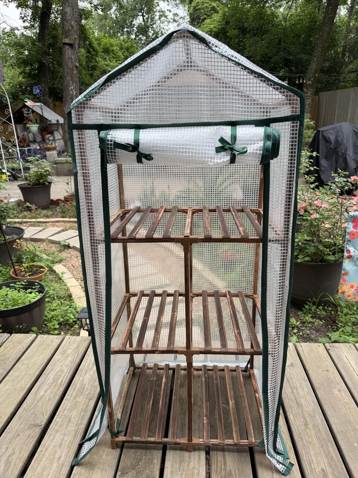 Bamworld Greenhouse for Outdoors Small Plant Green House 3-Tier Rack Stand Portable Greenhouses with Durable PE Cover for Seedling Ideal Gardening Gifts for Women Plants Lover customer photo 2