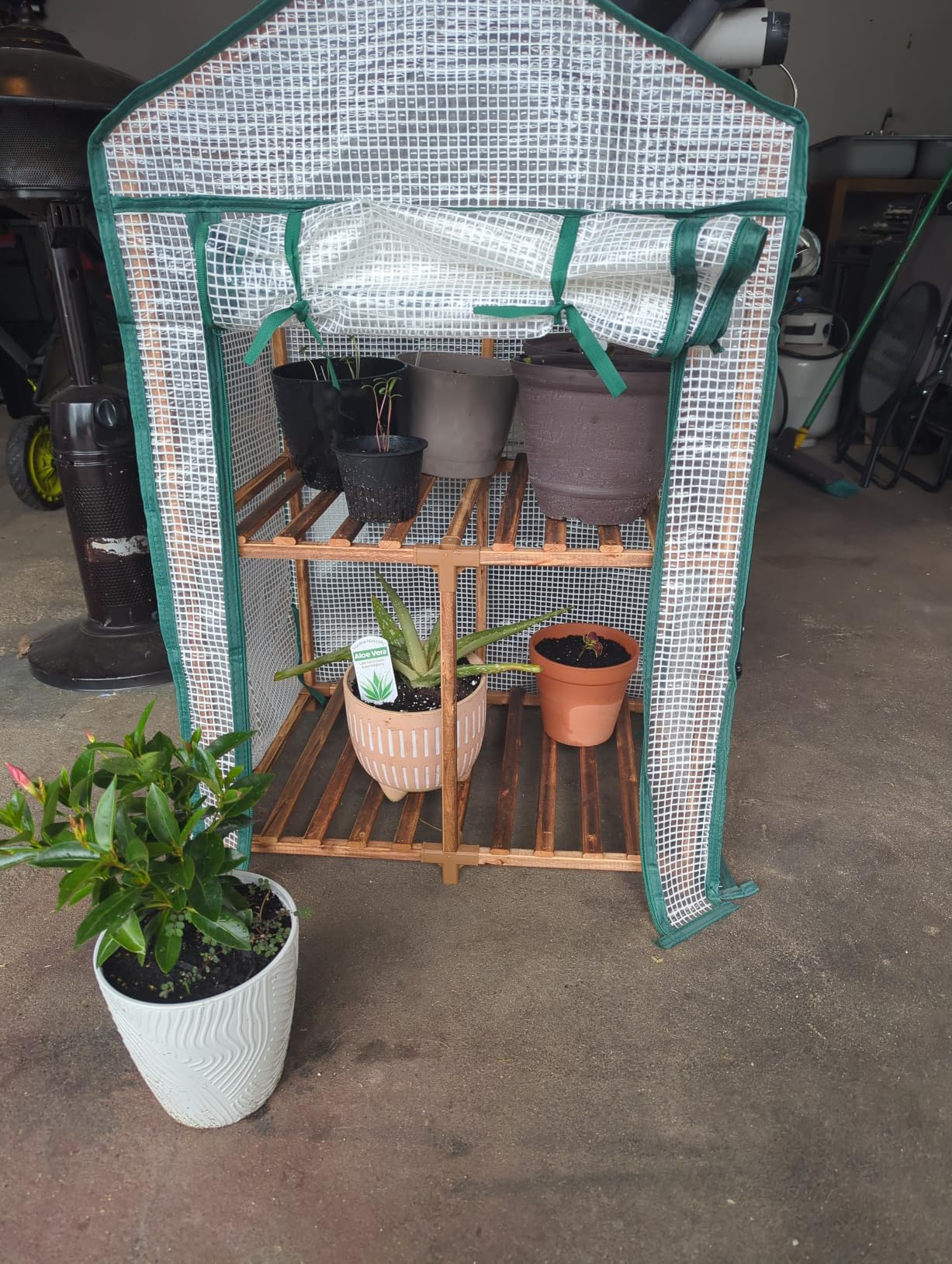 Bamworld Small Greenhouse for Indoors with Grow Lights Greenhouses for Seed Starting Small Portable Green Houses Waterproof PVC Cover & Adjustable Shelves customer photo 1