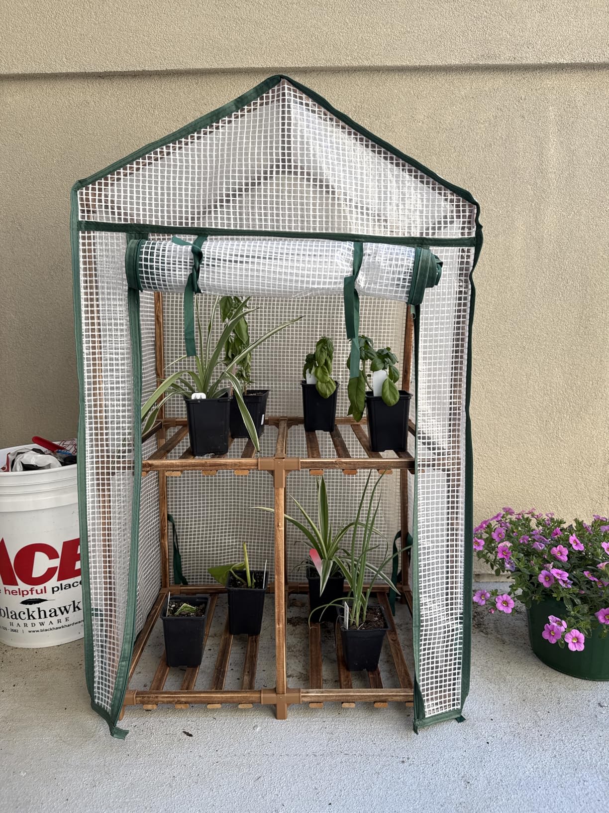 Bamworld Small Greenhouse for Indoors with Grow Lights Greenhouses for Seed Starting Small Portable Green Houses Waterproof PVC Cover & Adjustable Shelves customer photo 2