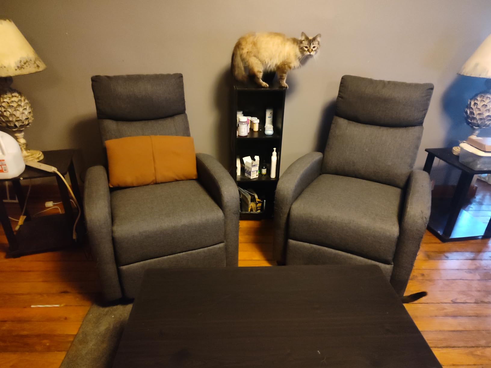 Sweetcrispy Recliner Chair Fabric Recliner Sofa No Massage, Home Theater Seating with Lumbar Support, Adjustable Push Back Overstuffed High-Density Sponge Reclining for Living Room, Slate Gray customer photo 2