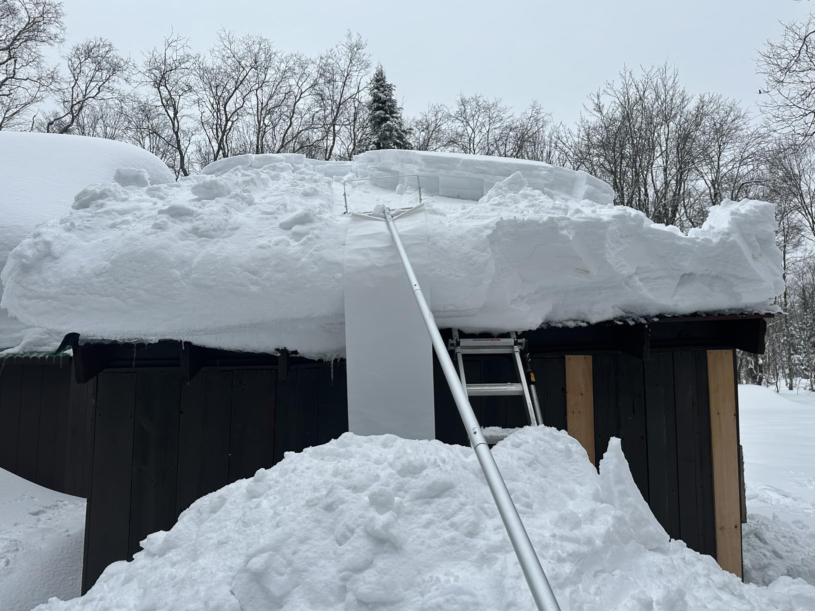 VEVOR Snow Roof Rake, 5.2-30 ft Adjustable Reach, 18.5'' Aluminum Blade, Roof Rakes for Snow Scraper with Wheels & Slide, Roof Snow Removal Tool for House Rooftop Leaves Debris Clearing customer photo 1