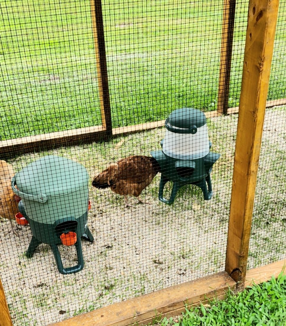 Omlet No Waste Chicken Feeder | Anti-Spill Design on Feed | BPA Free | 5 Anti-Bully Ports | Easy to Clean | Feeds 6 Hens for 7 Days | 12lb customer photo 2