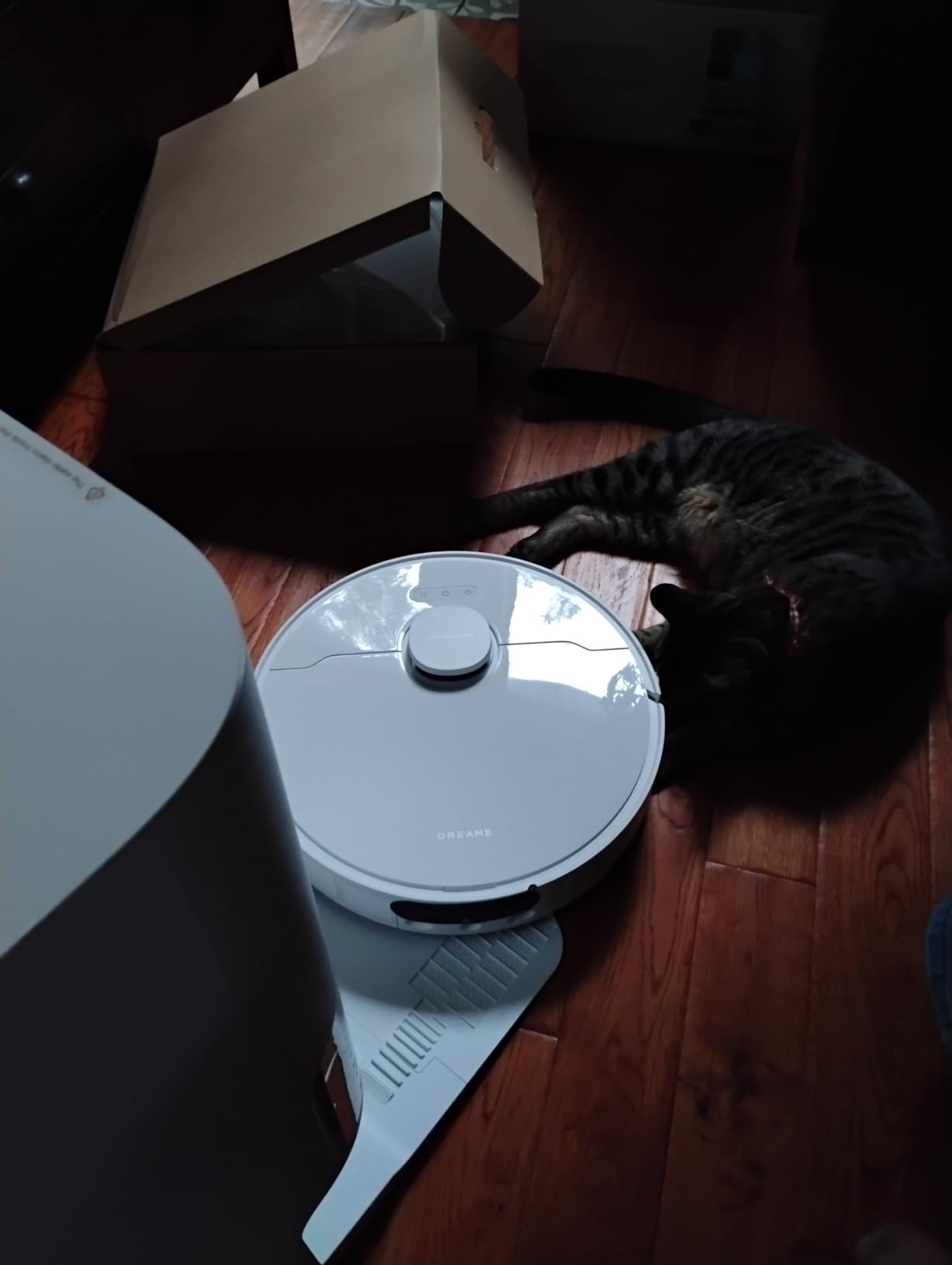 DREAME L40 Ultra Gen 2 Robot Vacuum and Mop with 25,000Pa Suction, Extendable Side Brush and Mop, All-in-One Self-Emptying & Cleaning Dock, Voice & App Control, Black customer photo 1
