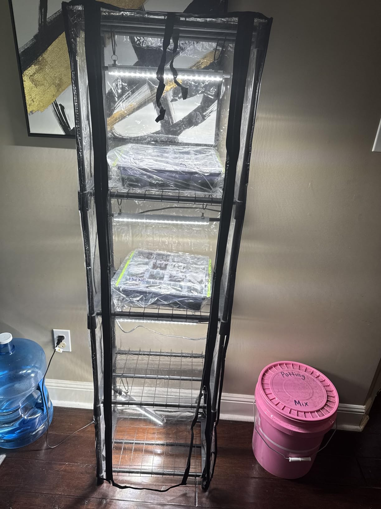 Indoor Greenhouse with Grow Light, Mini Greenhouse with 4 Pack 36W Grow Lights for Indoor Plant, Seed Start, Seedling, Seed Trays, 11.8