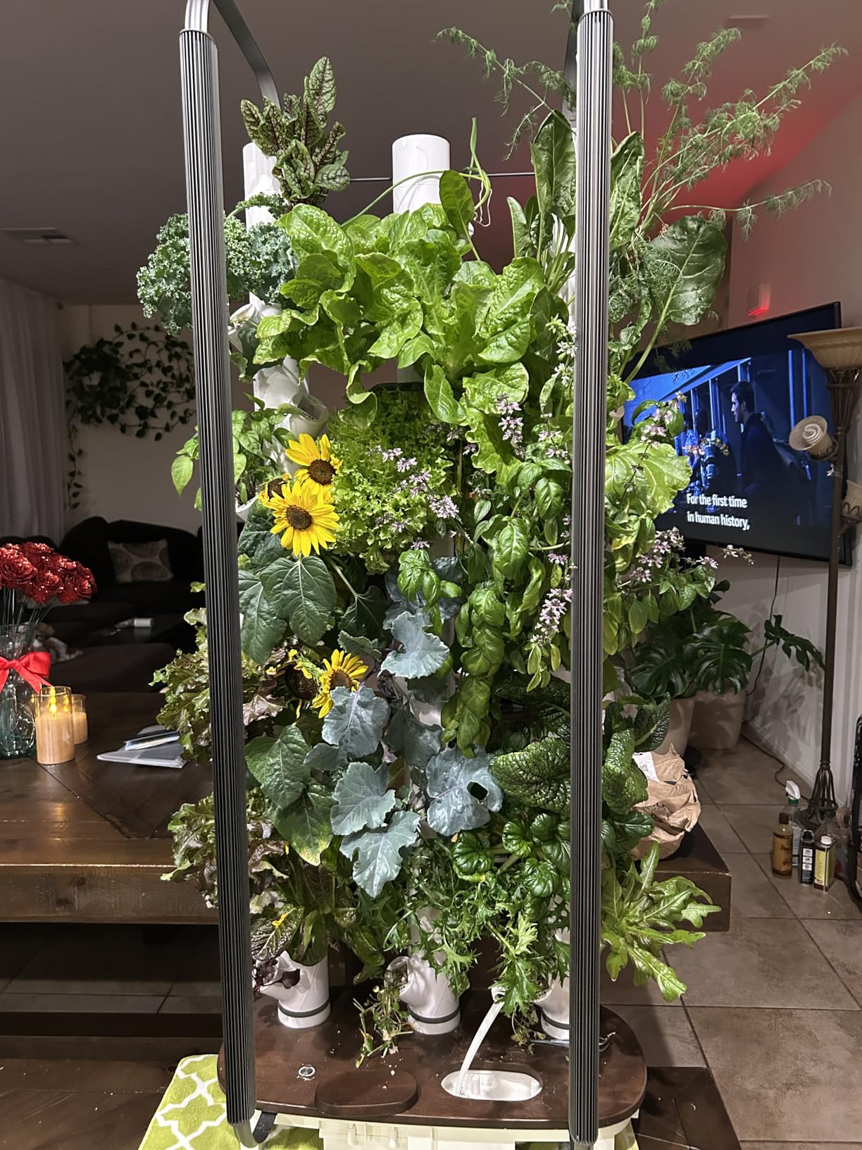 Gardyn Home 4 Vertical Hydroponics Growing System Kit - 30 Non-GMO Plants, Herbs, Vegetables - Smart Garden Hydroponic Herb Garden Planter Indoor Kit - Indoor Gardening System w/LED Grow Lights customer photo 1