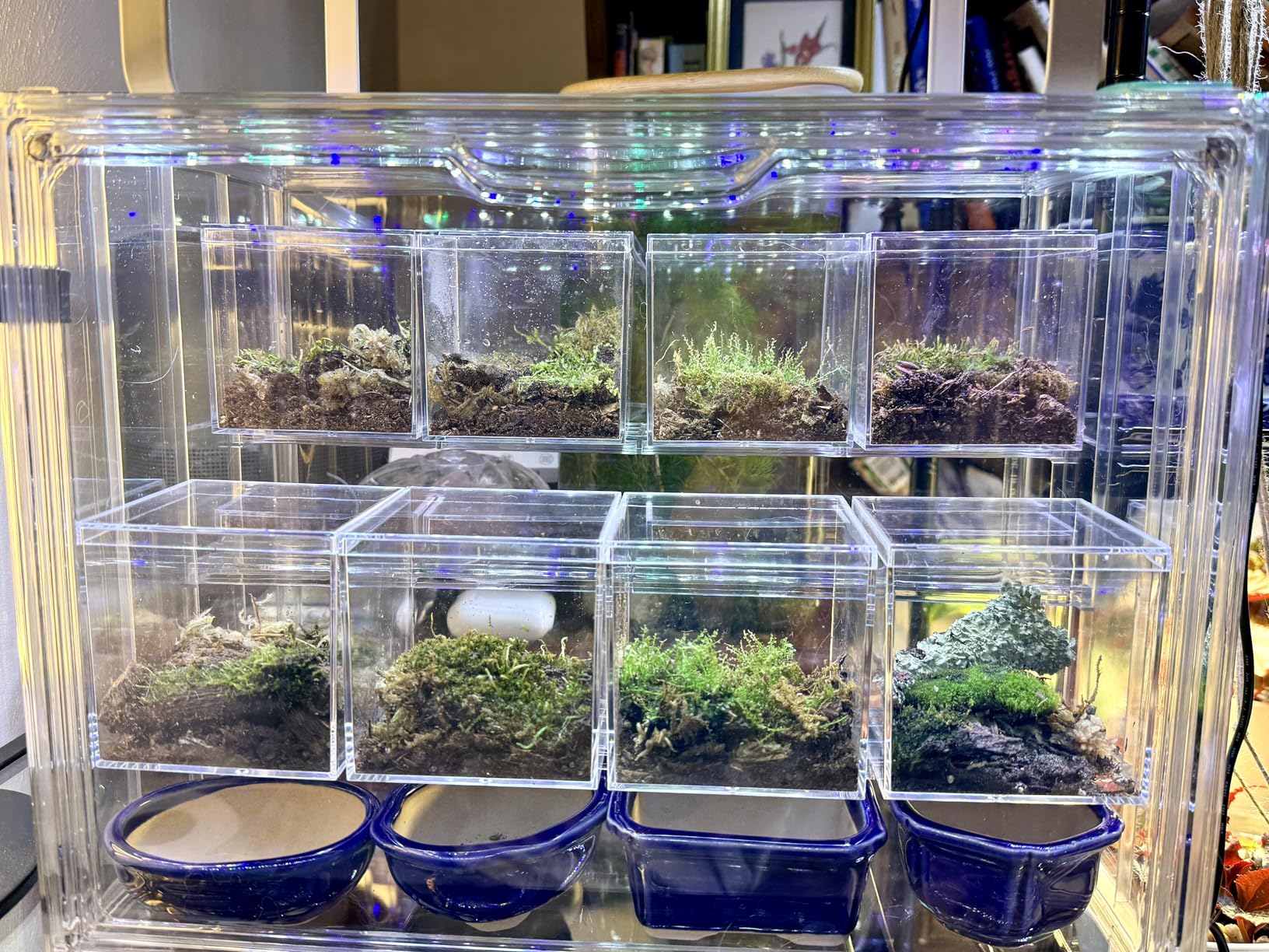 Acrylic Mini Greenhouse Indoor with Magnetic Door | Retains Warmth & Moisture, Durable Construction, Magnetic Door, Adjustable Dividers Fit Different Plants, Tool-Free Assembly customer photo 2