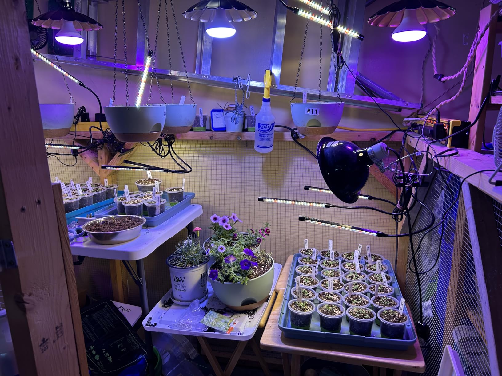 Seedling Heat Mat with Thermostat Controller, Plant Warming Mat for Indoor Growing, Seed Starting Heater Mat Temperature & Timer Set, Waterproof Heat Mat for Germination Fermentation Greenhouse customer photo 1