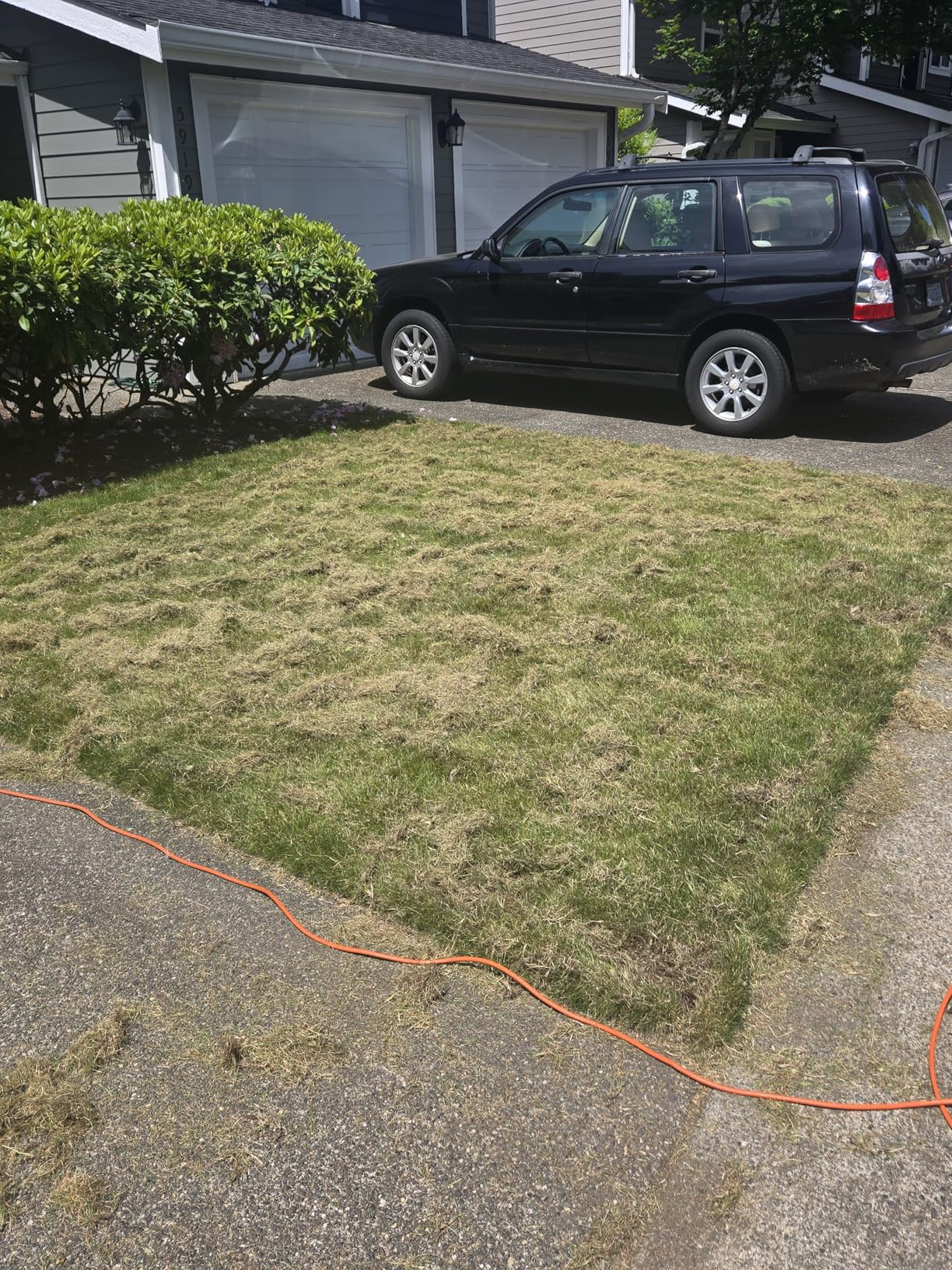 MZK 13-inch 13-Amp 2-in-1 Electric Dethatcher and Scarifier w/Removeable 4-Position Height Adjustment,Lawn dethatcher w/8-Gallon Thatch Collection Bag,Keep Lawn Health (RED) customer photo 1