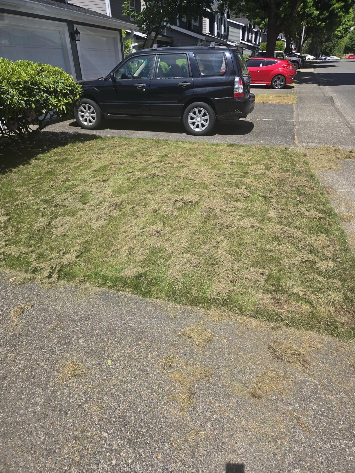 MZK 13-inch 13-Amp 2-in-1 Electric Dethatcher and Scarifier w/Removeable 4-Position Height Adjustment,Lawn dethatcher w/8-Gallon Thatch Collection Bag,Keep Lawn Health (RED) customer photo 2