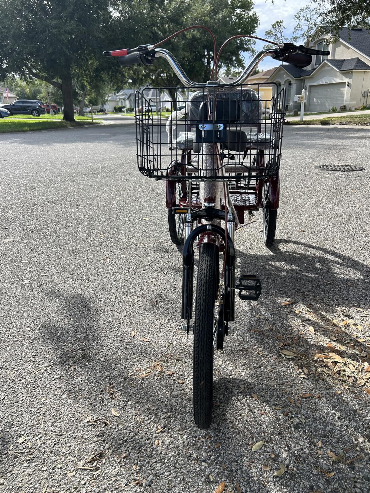 MOOITZ Adult Tricycle, 20 Inch 3-Wheel Bikes, Trike for Adults with Seat, Low Step-Through Cruiser Bike with Front and Rear Baskets, Adult Tricycles for Women, Seniors, Men customer photo 1
