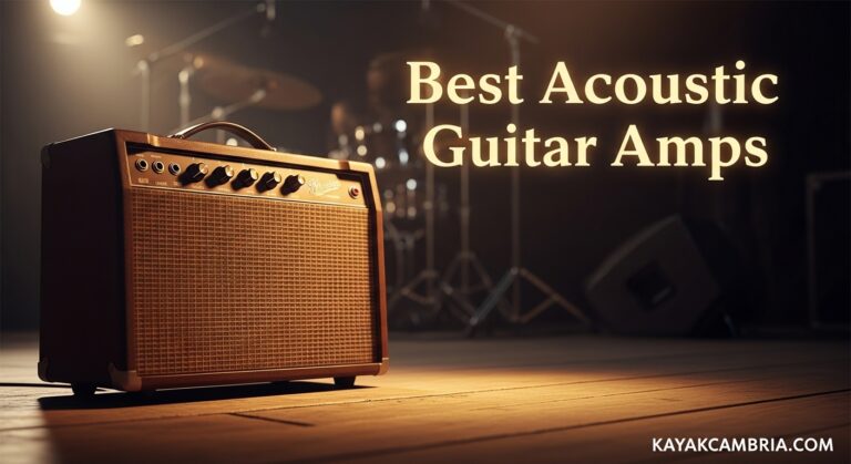 Best Acoustic Guitar Amps