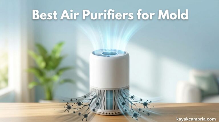 Best Air Purifiers for Pets