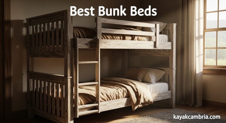 Best Bunk Beds
