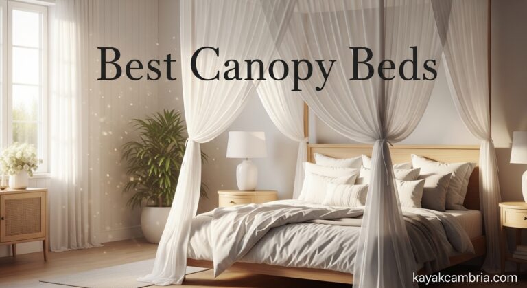 Best Canopy Beds