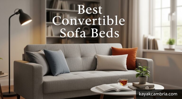 Best Convertible Sofa Beds