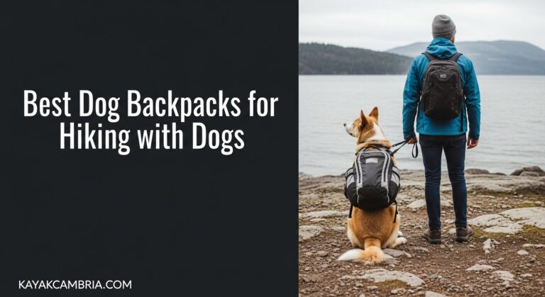 Best Dog Backpacks for Hiking with Dogs