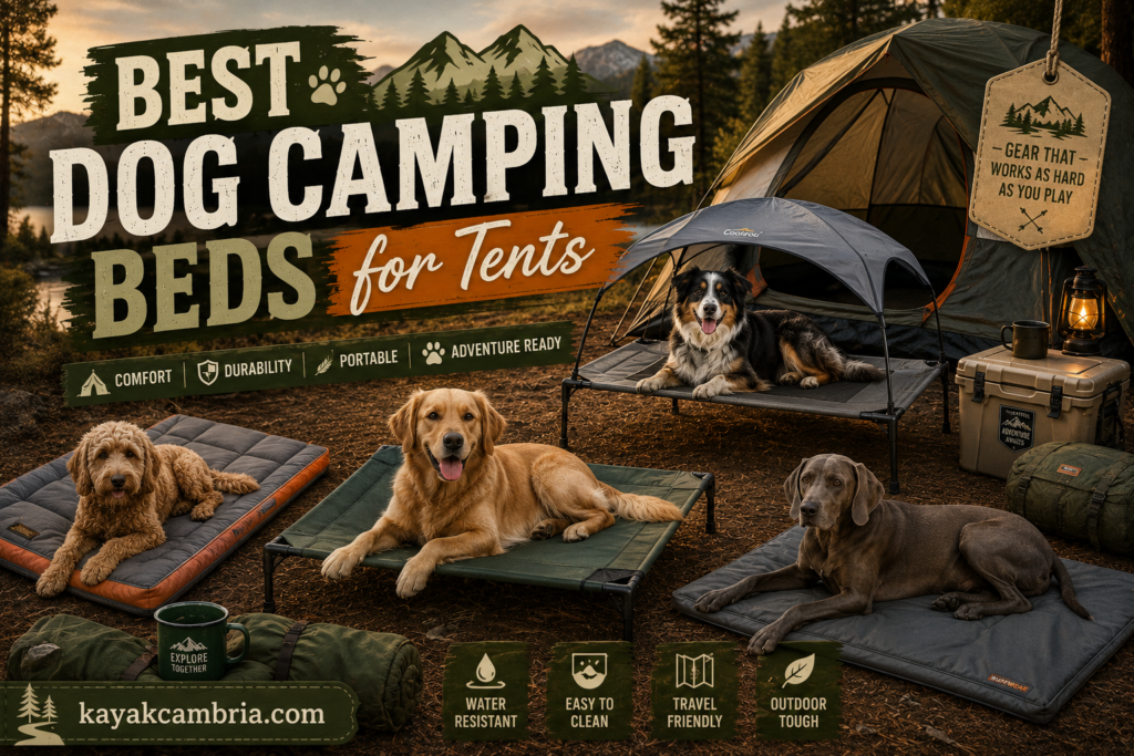Best Dog Camping Beds for Tents