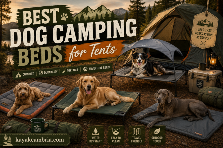 Best Dog Camping Beds for Tents