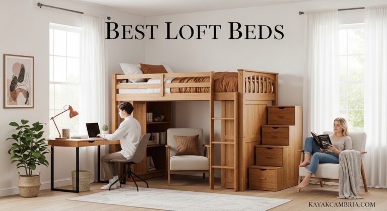 Best Loft Beds