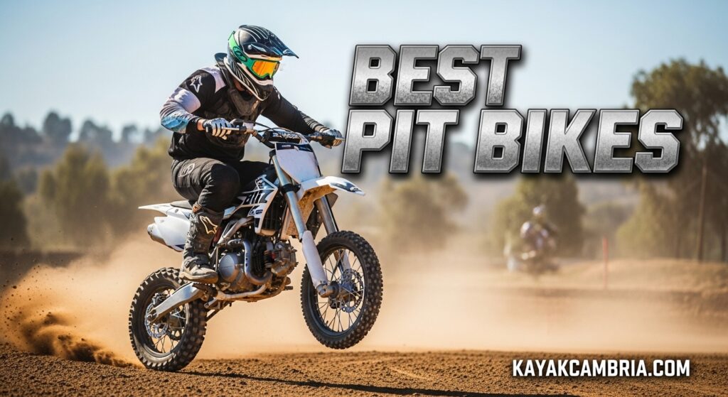 Best Pit Bikes