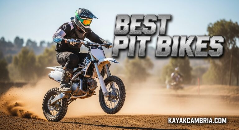 Best Pit Bikes