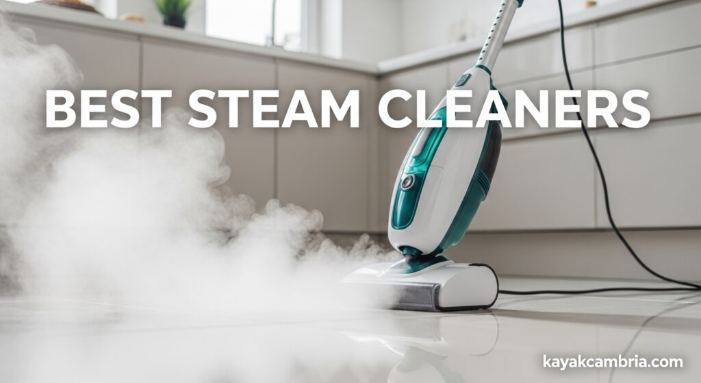 Best Steam Cleaners