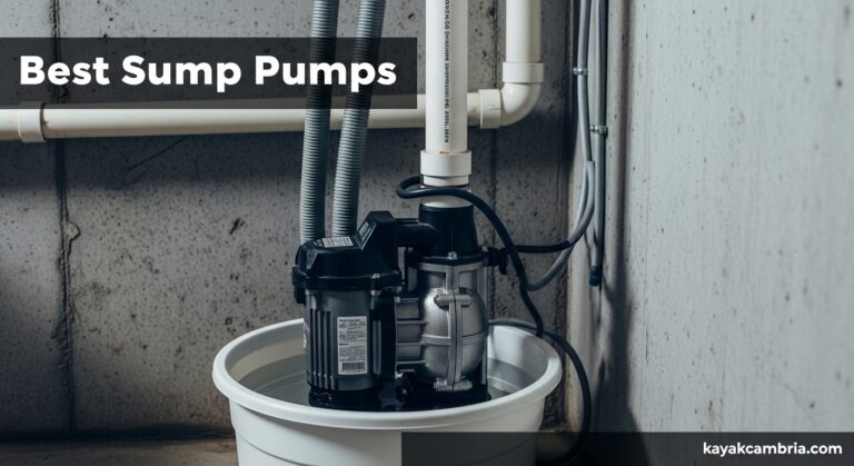 Best Sump Pumps