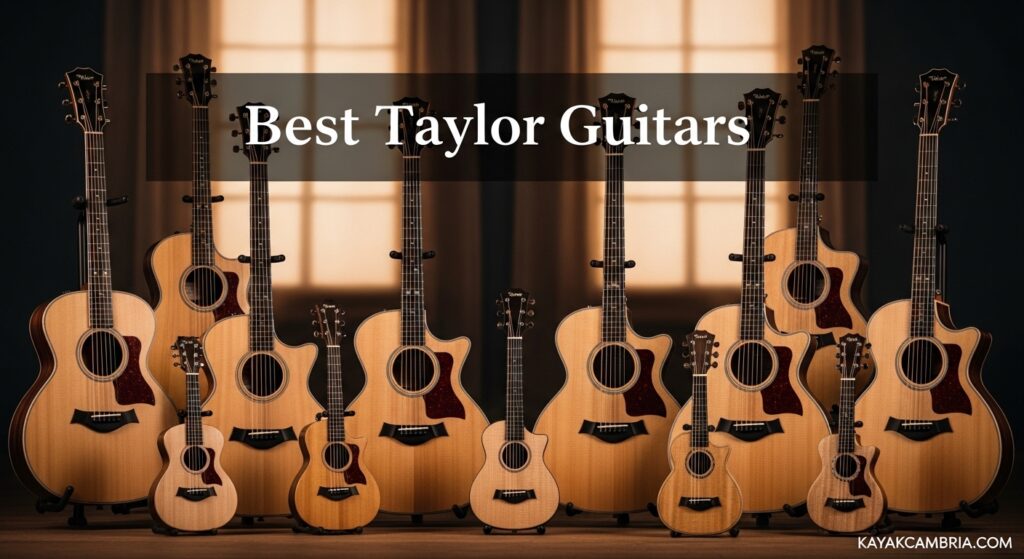 Best Taylor Guitars
