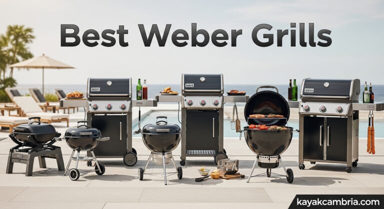 Best Weber Grills