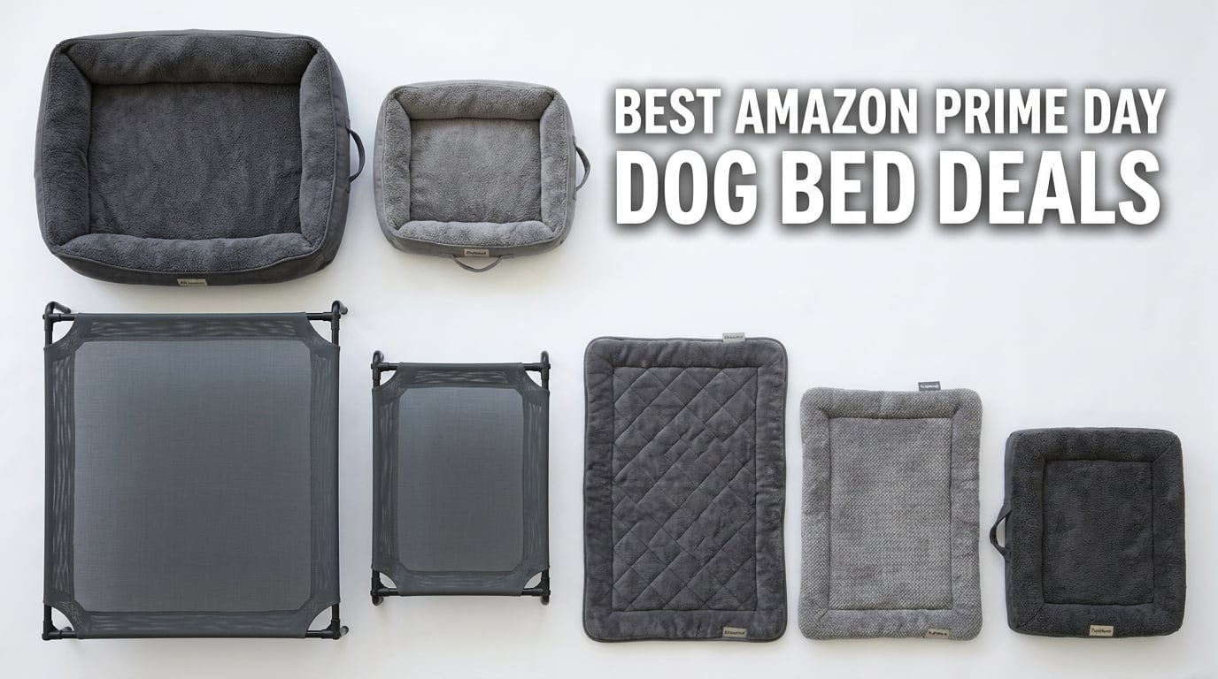 Best Amazon Prime Day Dog Bed Deals 2026