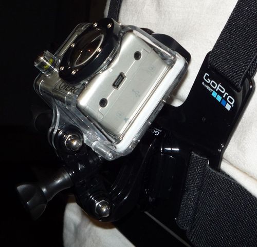 Chest Mount Harness (All GoPro Cameras) - Official GoPro Mount customer photo 1