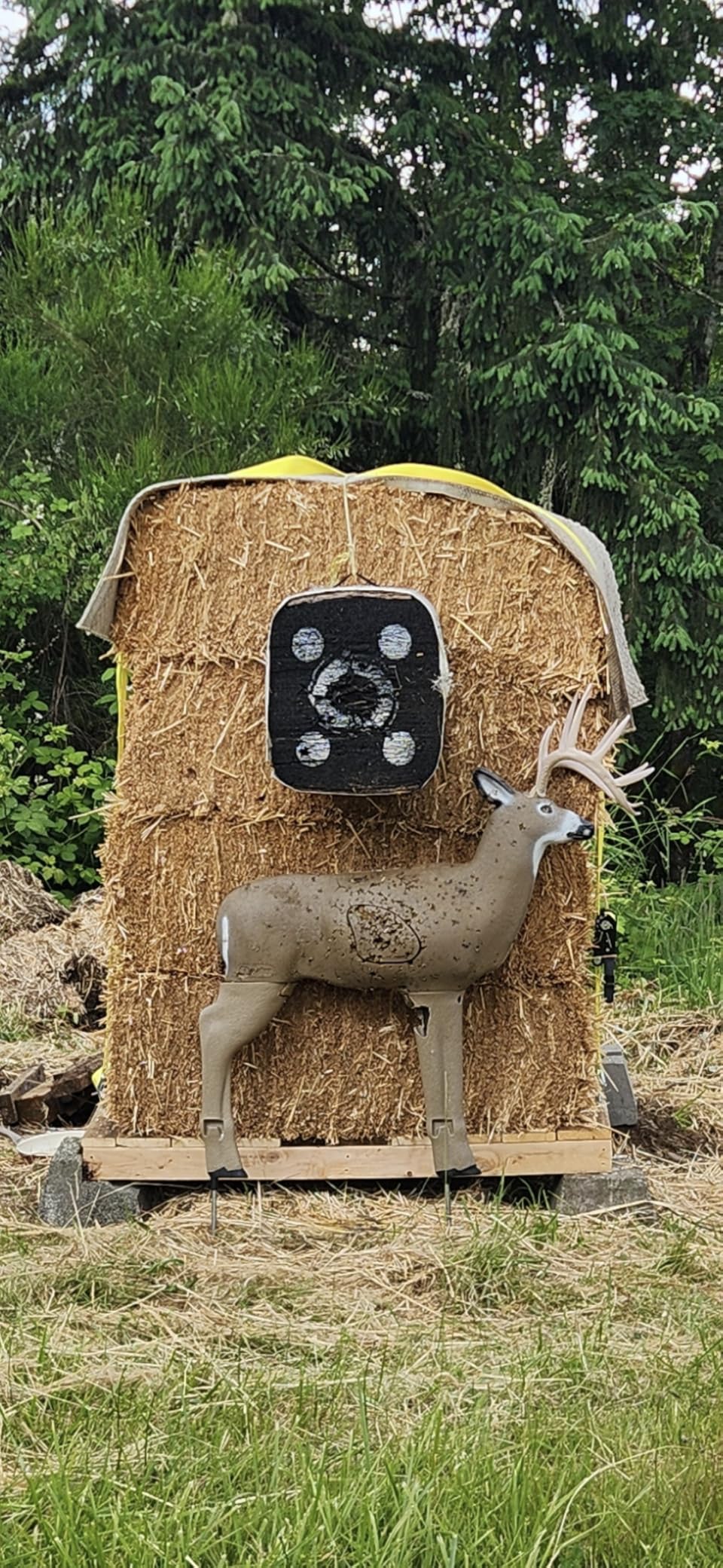 SHOOTER Buck 3D Archery Target, Replaceable Insert for Long Life, Weather-Resistant Construction, High-Density Impact-Response Foam Withstands Field Points, Broadheads, and Expandables customer photo 1
