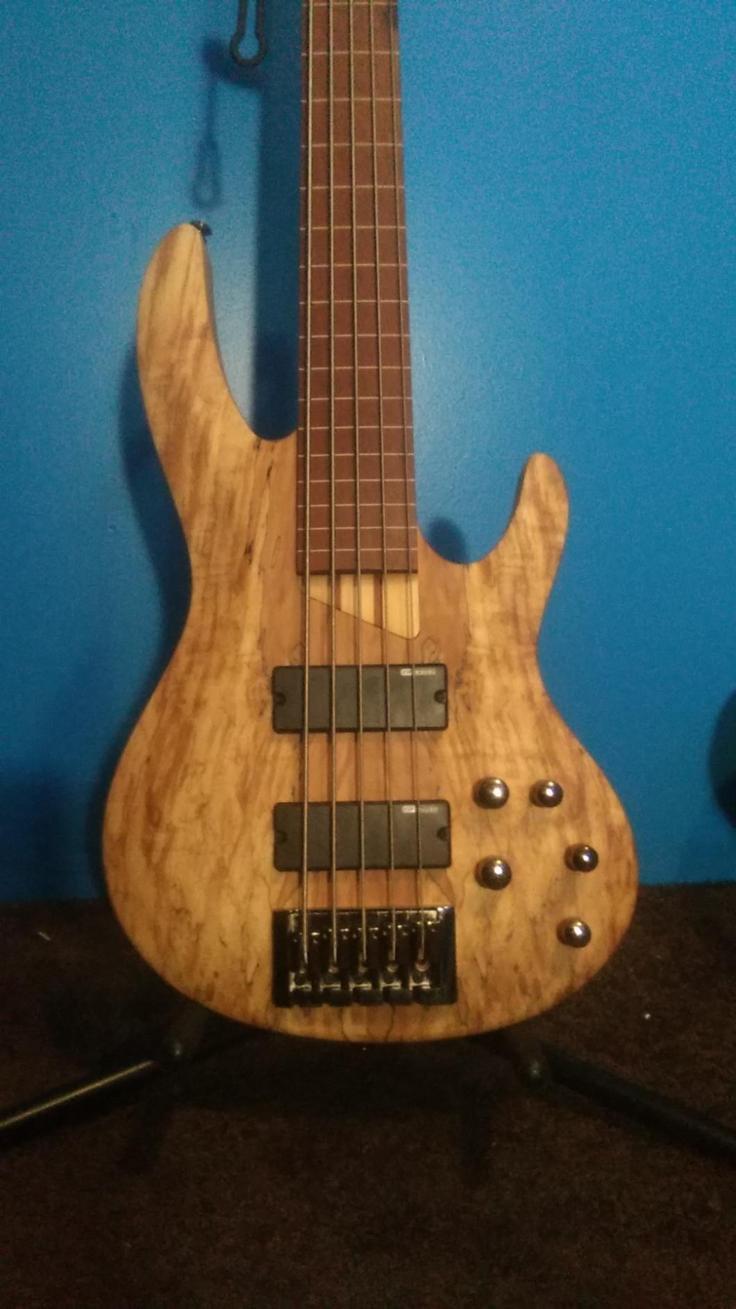 ESP LTD B-205 5-String Bass Guitar - Natural Satin customer photo 1
