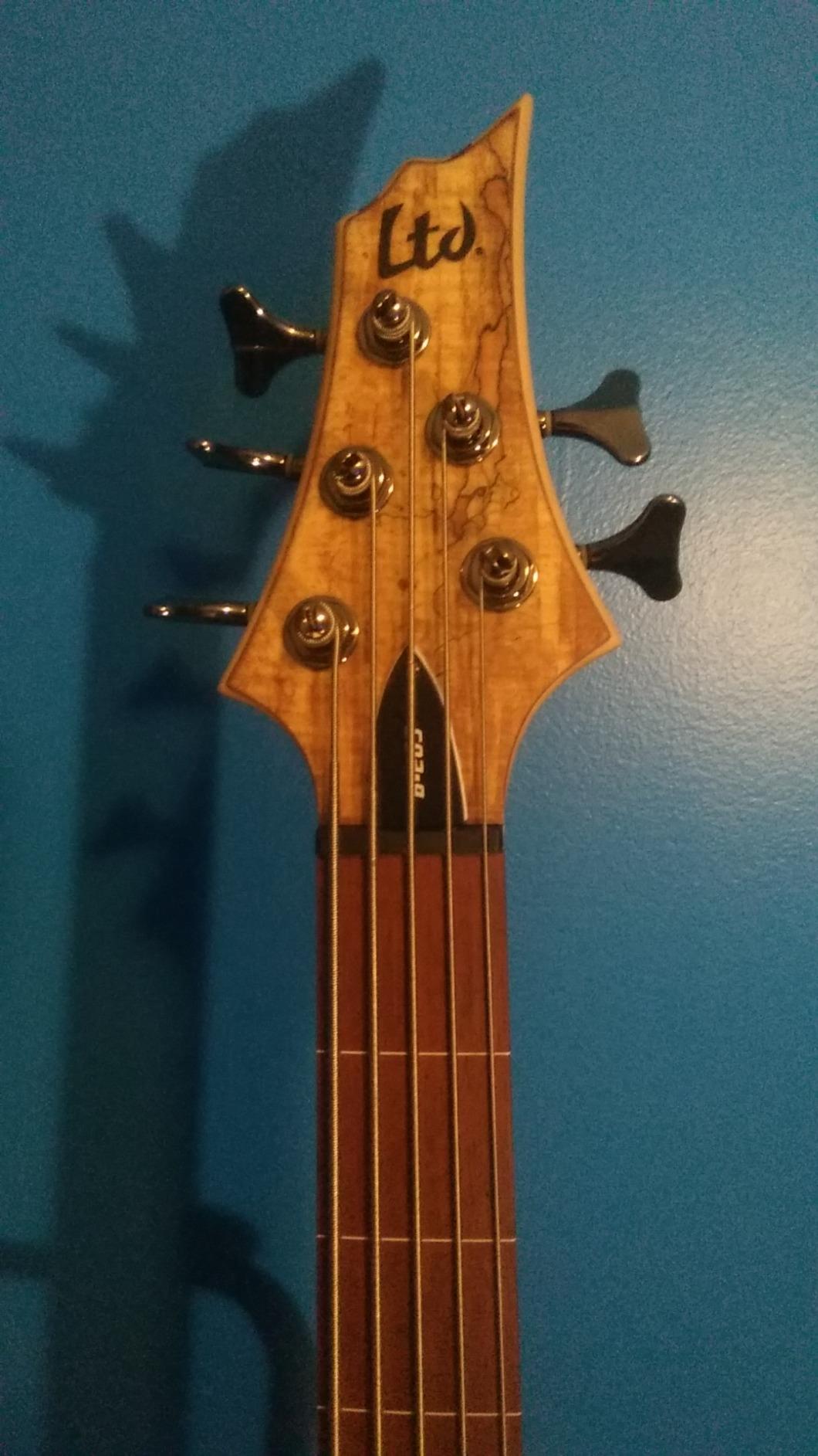 ESP LTD B-205 5-String Bass Guitar - Natural Satin customer photo 2