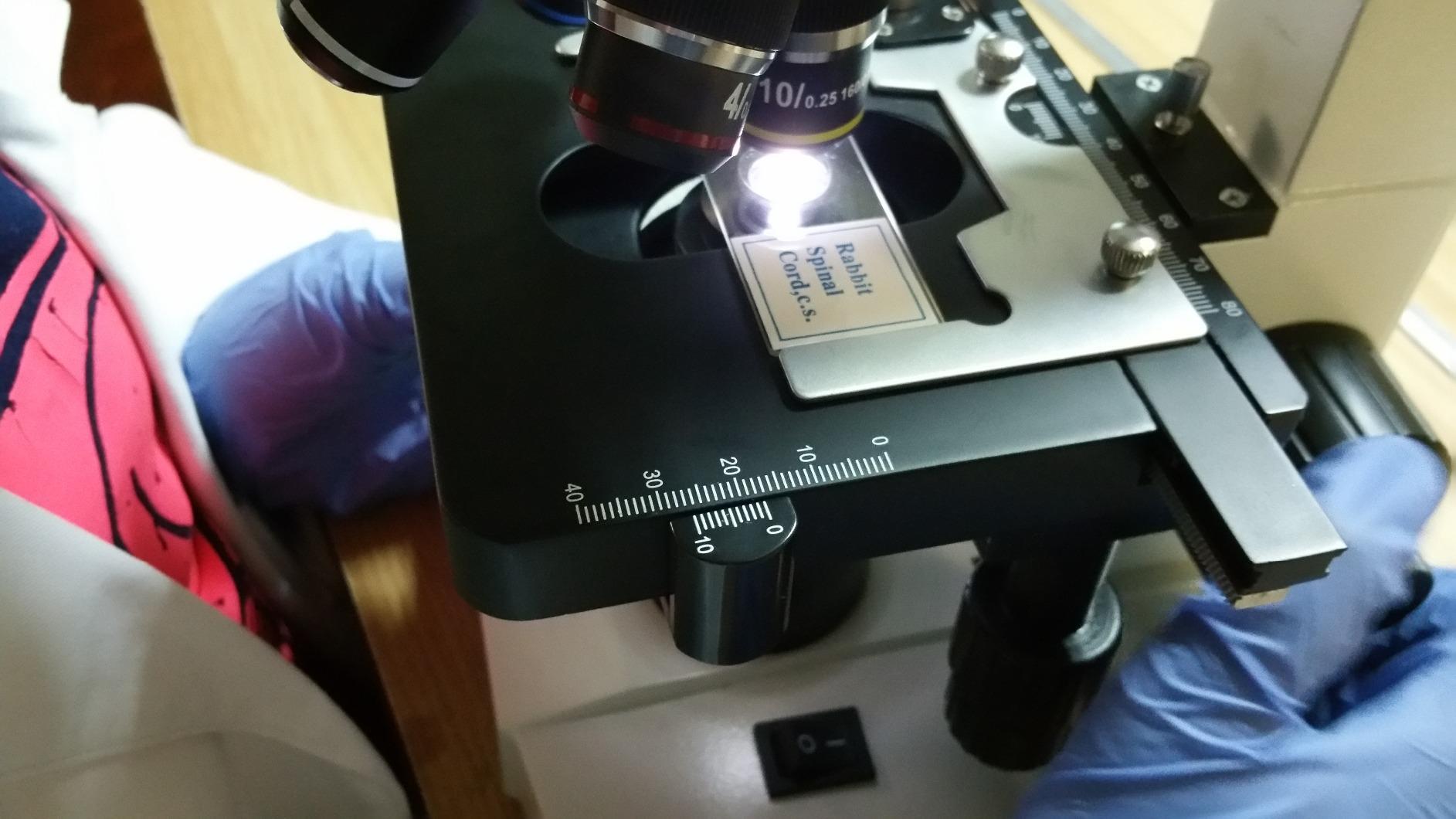 OMAX MD82ES10 40X-2000X Digital LED Compound Microscope with Built-in 1.3MP Camera and Double Layer Mechanical Stage Compatible with Windows and Mac customer photo 1