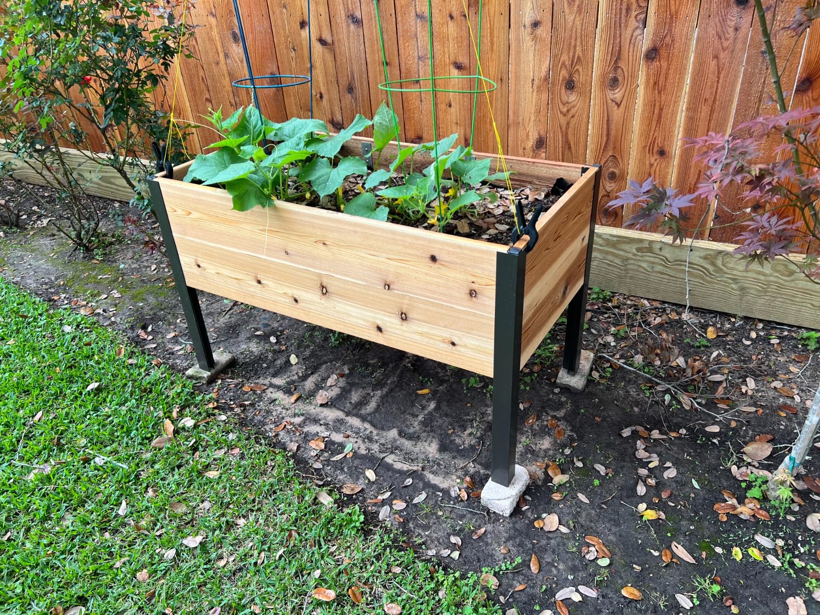 Gardener's Supply Company Elevated Cedar Raised Garden Bed | 2' x 8' Heavy Duty Standing Planter Box with Aluminum Corners for Outdoor Plants Vegetables Flowers | Perfect for Patio & Backyard customer photo 1