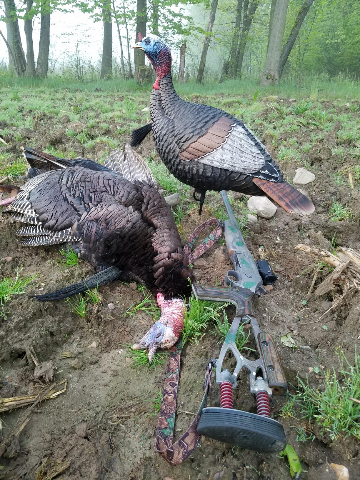 Flextone Hunting Lightweight Ultra Realistic Lifelike Plastic Outdoor Thunder Jake Turkey Decoy customer photo 1