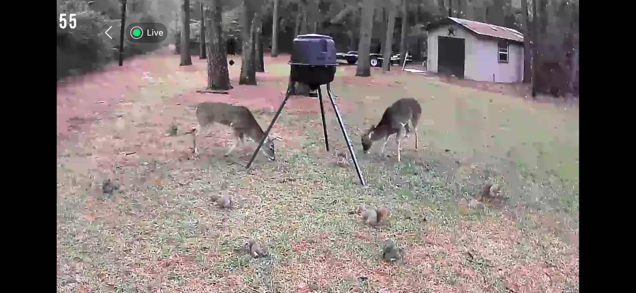 Moultrie 30-Gallon Deer Feeder Tripod - Moultrie Quick-Lock Hopper System - Digital Timer Control - 200 lb Feed Capacity - Durable Polymer Build - Metal Spin Plate customer photo 1