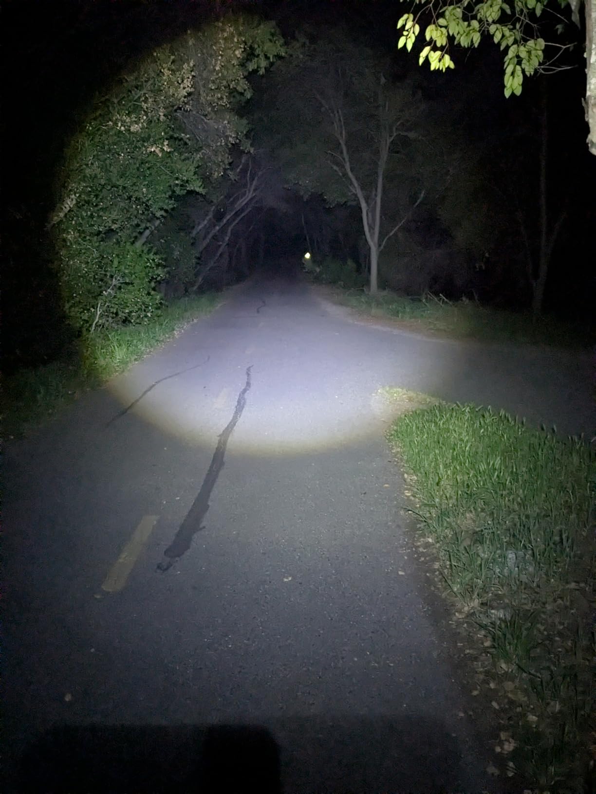DanForce Headlamp. USB Rechargeable LED Head Lamp. Ultra Bright LUMINUS 1080 Lumen Headlamp Flashlight + Red Light. HeadLamps for Adults, Camping, Outdoors & Hard Hat Light. Zoomable IPX54 Headlight customer photo 2